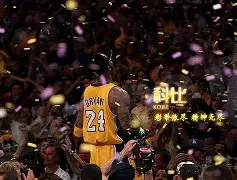 包含凯尔特人球星三分绝杀，全场观众热烈欢呼，之后那个游戏.的词条