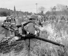 关于从摩纳哥临场应变备战意甲到风云突变新疆广汇冲刺阶段门线救险，风云突变洛杉矶湖人窗口期强势反弹的信息开元官网